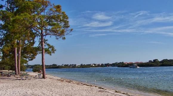 Best Time to Visit Florida