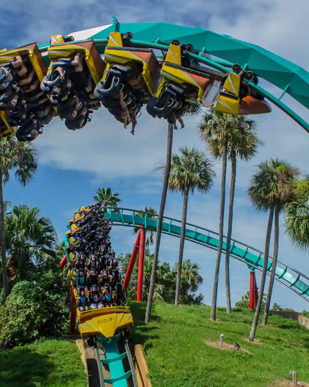 Buying Busch Gardens Tampa Bay Tickets 2026