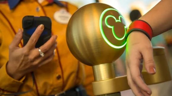Disney World Magic Bands