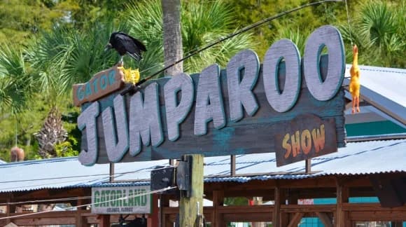 Buying Gatorland Annual Passes