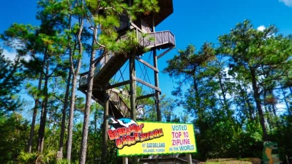 Buying Gatorland Tours and Packages in 2026