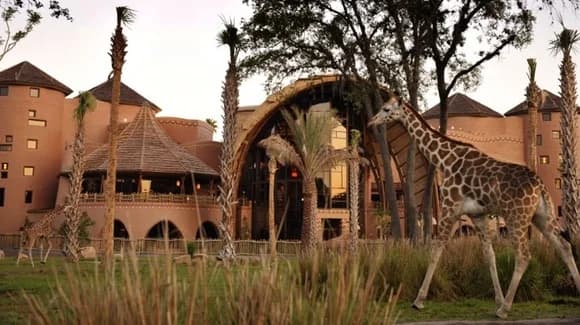 Florida Vacation Clubs in 2026