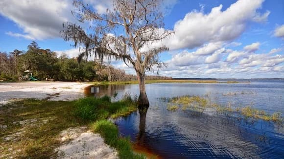 Florida State Parks