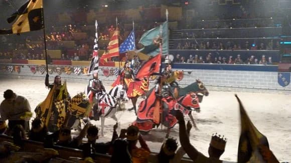 Florida Dinner Shows