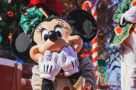 Disney World Magic Kingdom Theme Park Guide