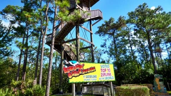 Screamin’ Gator Zip Line