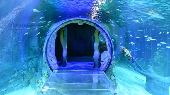 Orlando Sea Life Aquarium