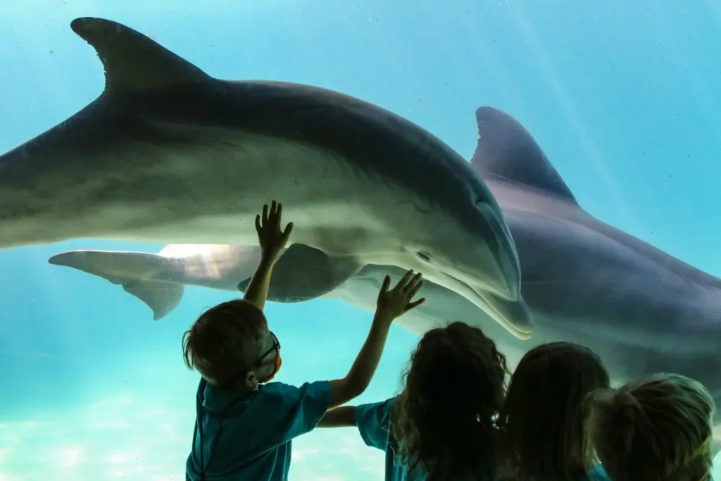 SeaWorld Orlando