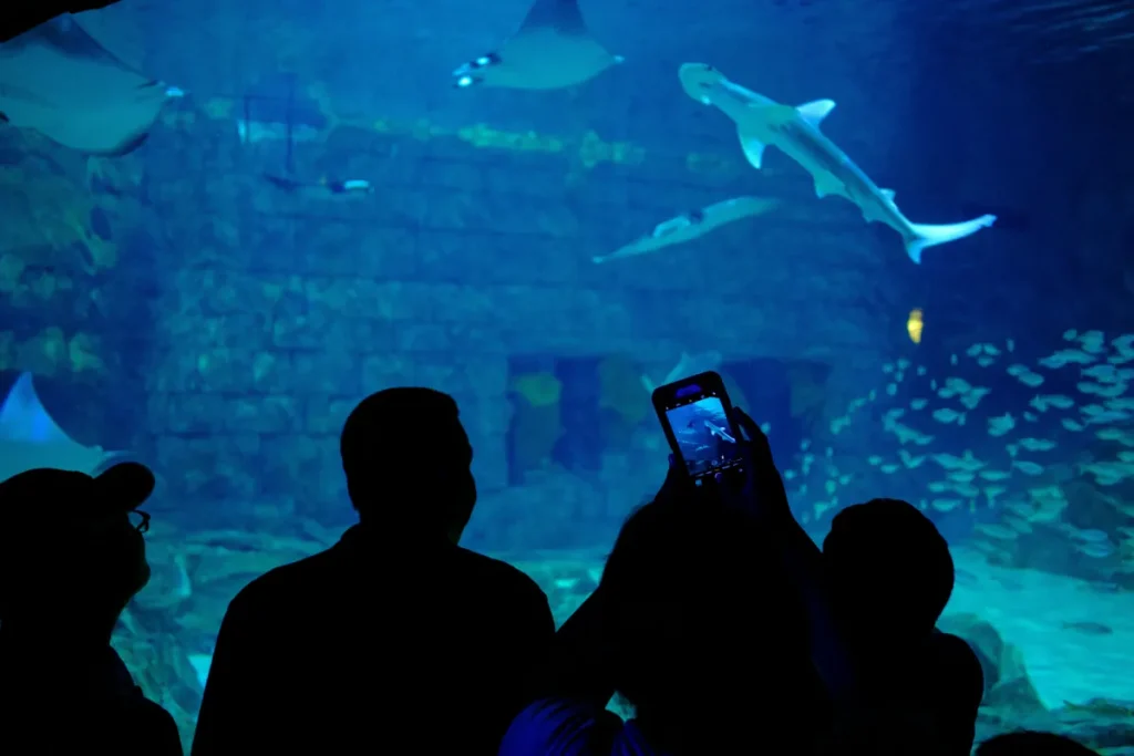 SeaWorld Tickets and Passes