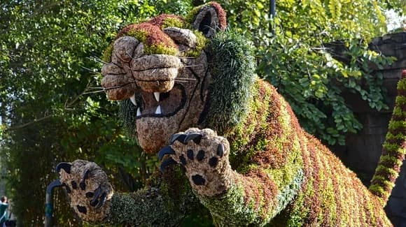 Jungala, Busch Gardens Africa