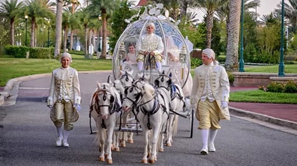 Walt Disney World Resort Weddings