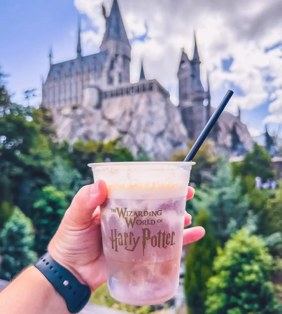 Frozen Butterbeer Hogsmeade Diagon Alley
