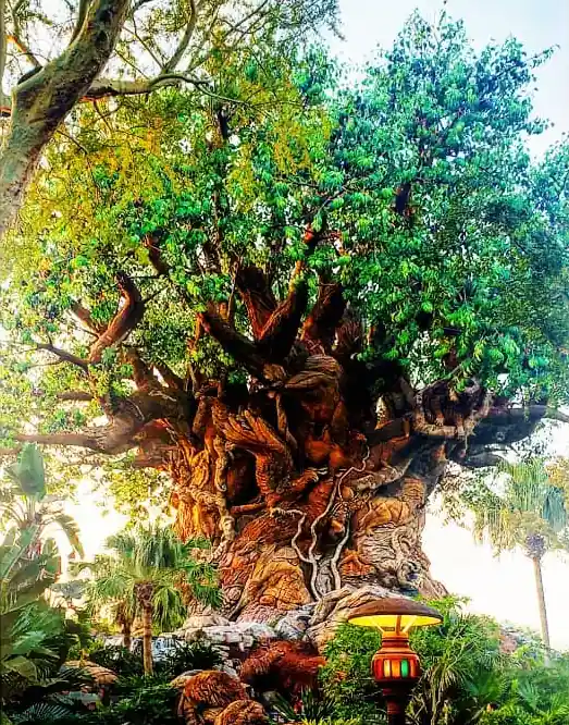 Avatar Tree of Life at Disney World's Animal Kingdom