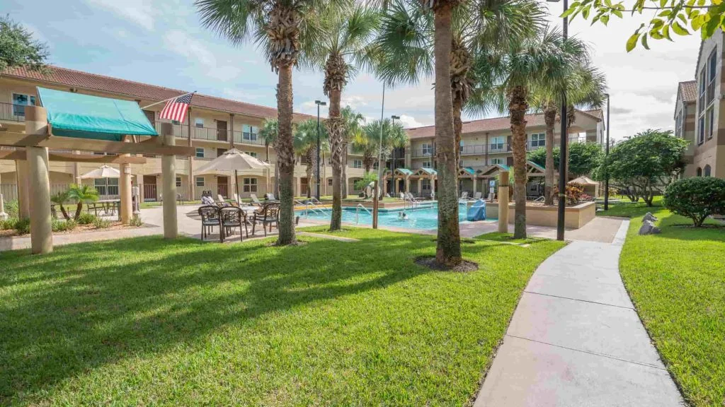 blue tree swimming pool 